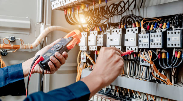 Best Electrical Upgrades for Homes  in Roma, TX