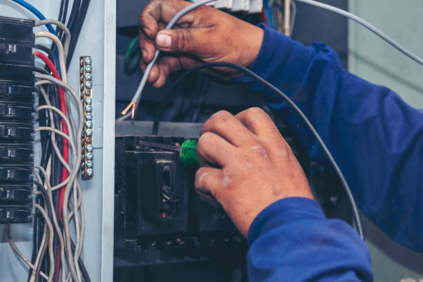Best Electrical Rewiring Services  in Roma, TX