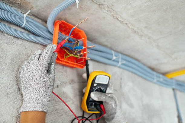Best Ceiling Fan Installation Electrician  in Roma, TX