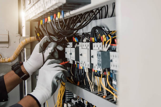 Best Electrical System Inspection  in Roma, TX