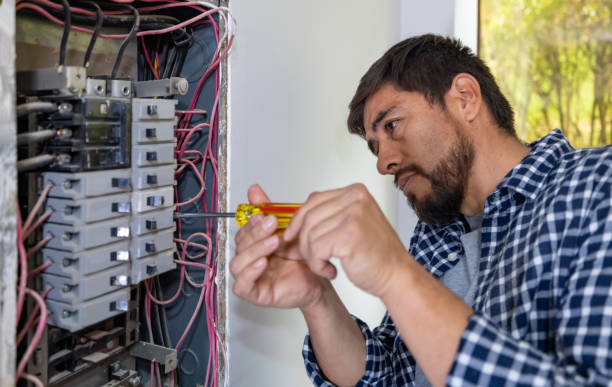 Best Generator Installation Services  in Roma, TX